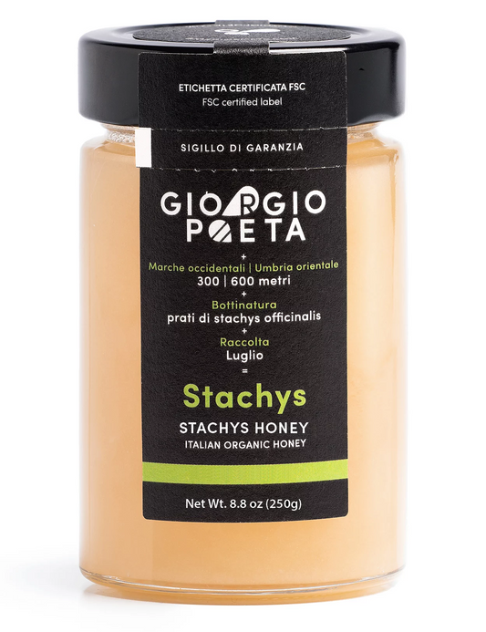 Stachys Honey - Italy