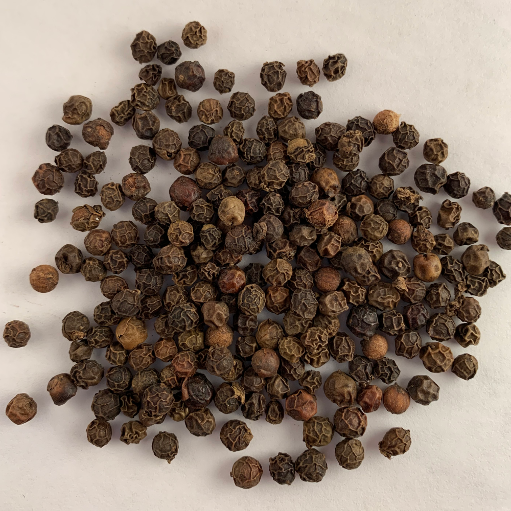 Lampung (Lampong) Sumatra Indonesia Black Pepper