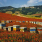 Millefiori Honey - Italy