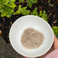 Vanilla Dreamin' - Pumpkin Spice Sugar - New!