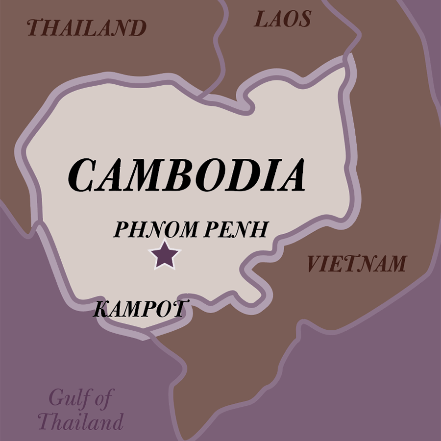 Long Pepper - Kampot